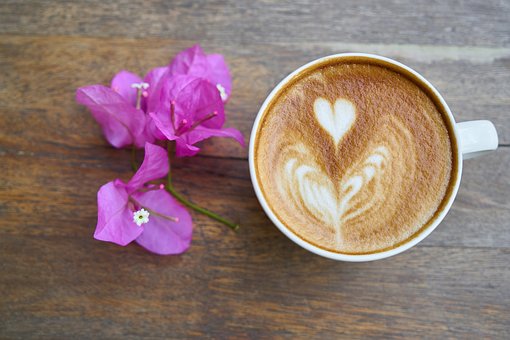 Coffee beans contain antioxidants Coffee beans contain antioxidants
