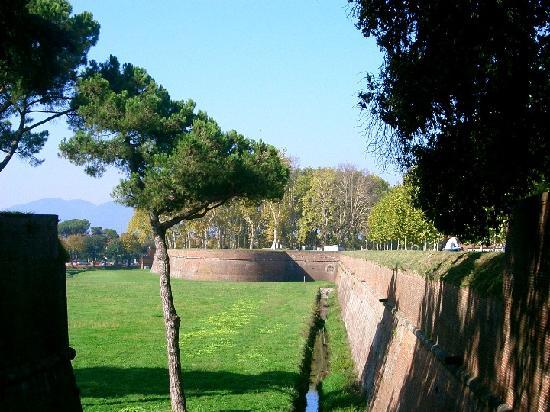 Lucca walls Lucca walls