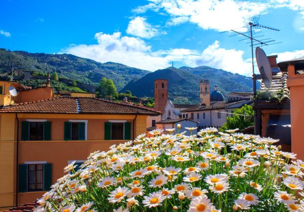 Pietrasanta Hotel Palagi