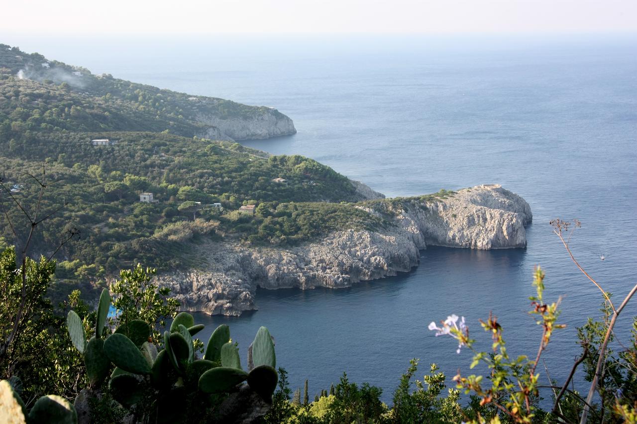 Hotel Al Mulino Capri Hotel Al Mulino Capri