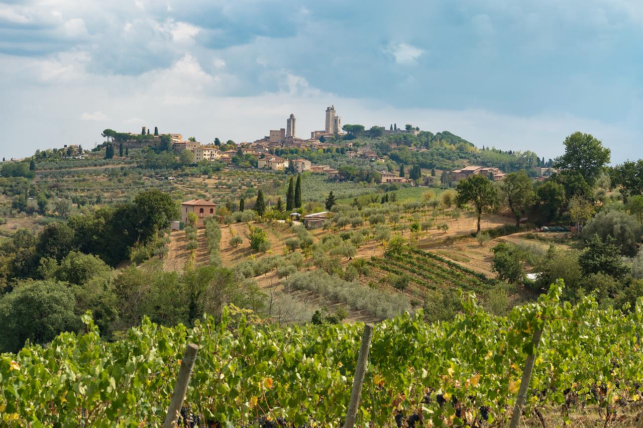 San Gimignano - Hotel Villasanpaolo, a view San Gimignano - Hotel Villasanpaolo, a view