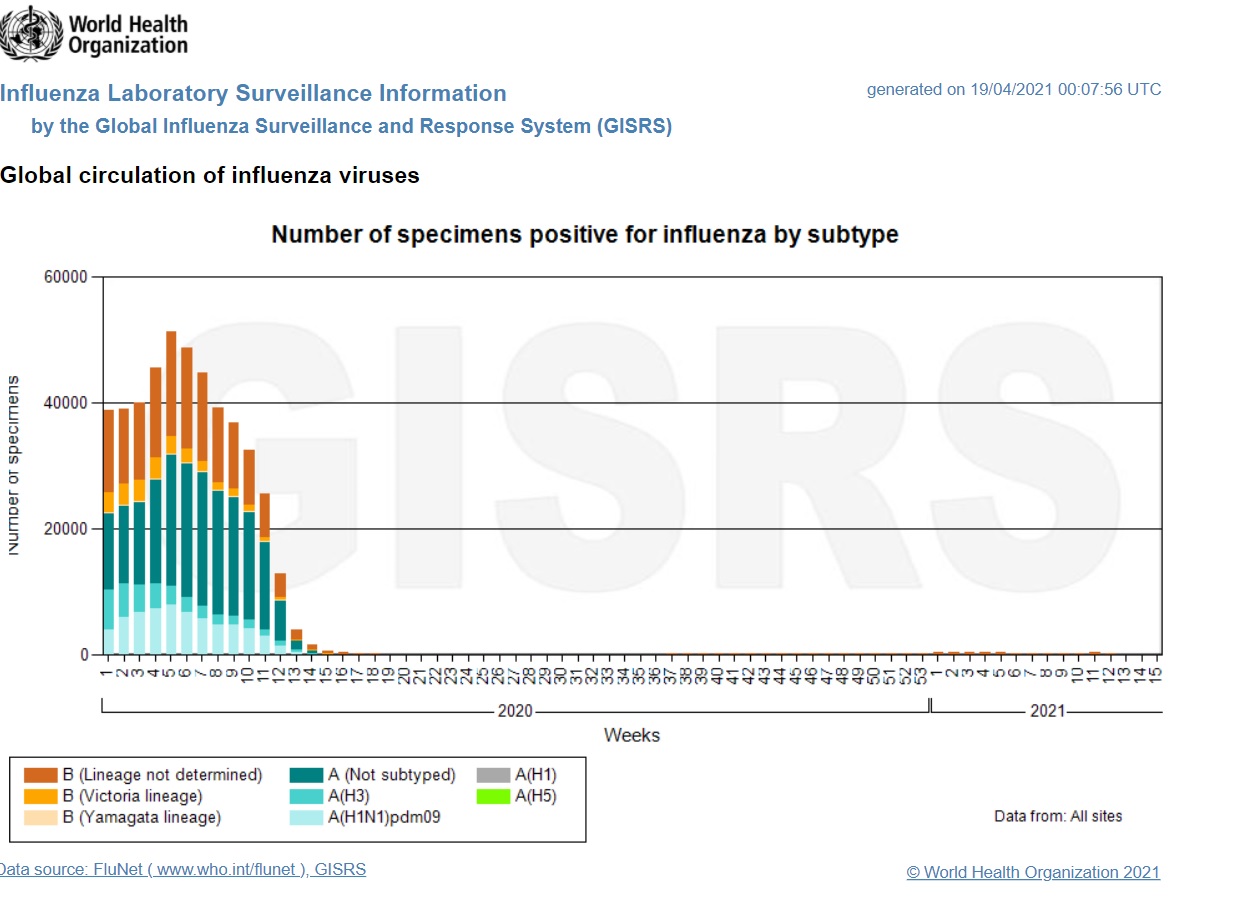 WHO 2020-2021 Flu Cases Graph